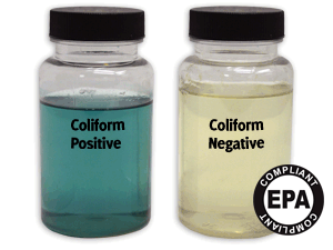 Coliform Bacteria EZ Cult 24 Hour Test