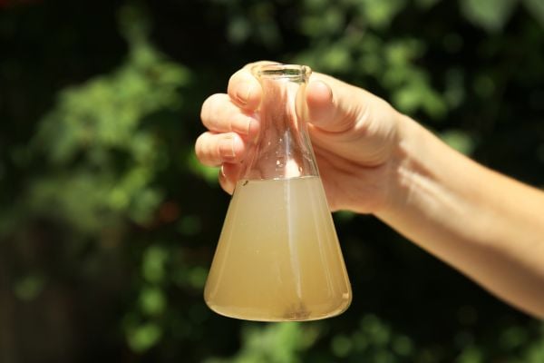 Beaker filled with sediment and dirty well water.