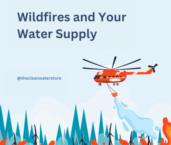 Wildfire Water Contamination: How to Ensure Safe Water After a Fire