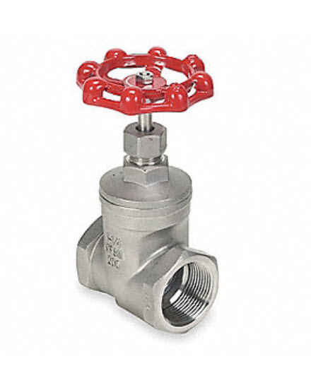 Stainless Steel Globe Valve 304 SS 1